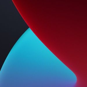 Meet your Posher, Paloma kai